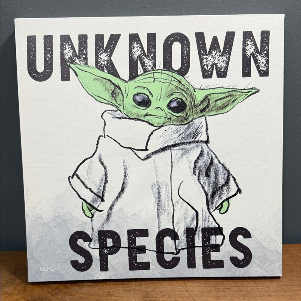 Unknown Species Baby Yoda The Child canvas print Star Wars 12” X 12” wall decor